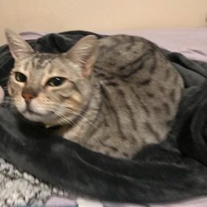 Meet your Posher, Amber